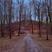 DSCF0972