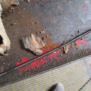 IMG-4157