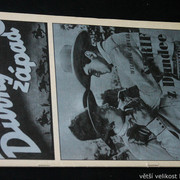 IMG-9005