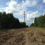IMG-3959