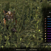 Screenshot-20210210-201159