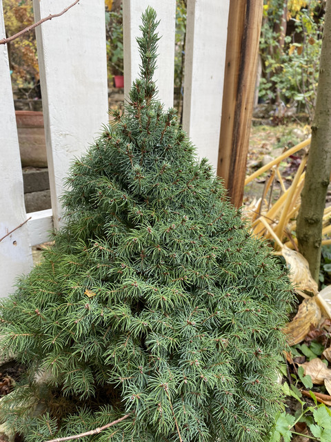 IMG-4815