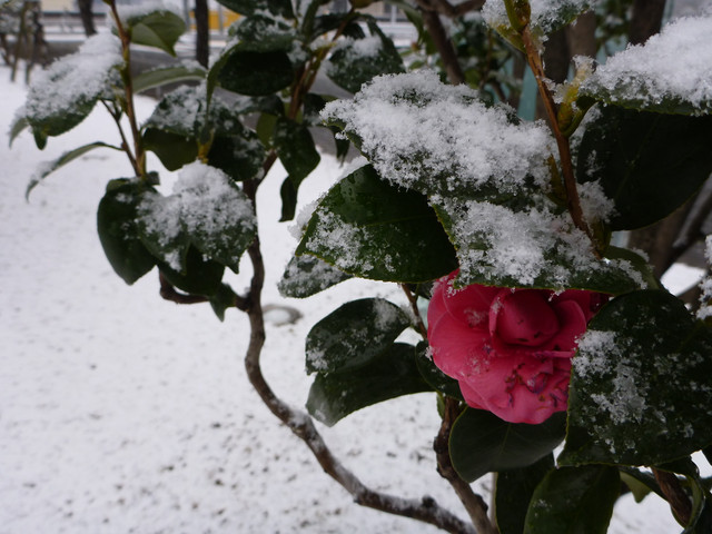 2022-01-06-131.jpg