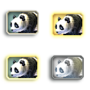 PandaGiant_Adult_M.png