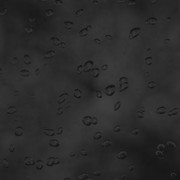 IMG-20190906-213907