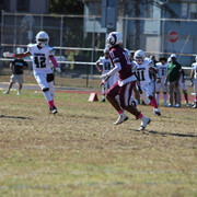 IMG-8029