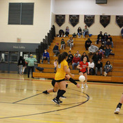 IMG-0320