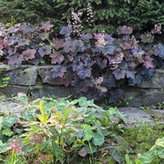 IMG-0623