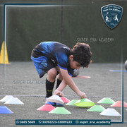 DSC-0208