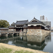 IMG-2731