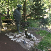 IMG-0782