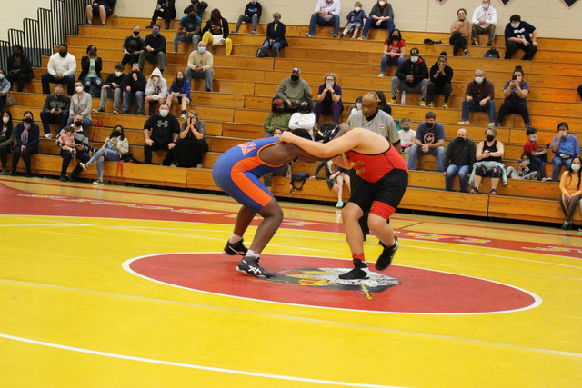 IMG-0433