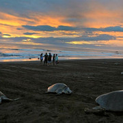 costarica5