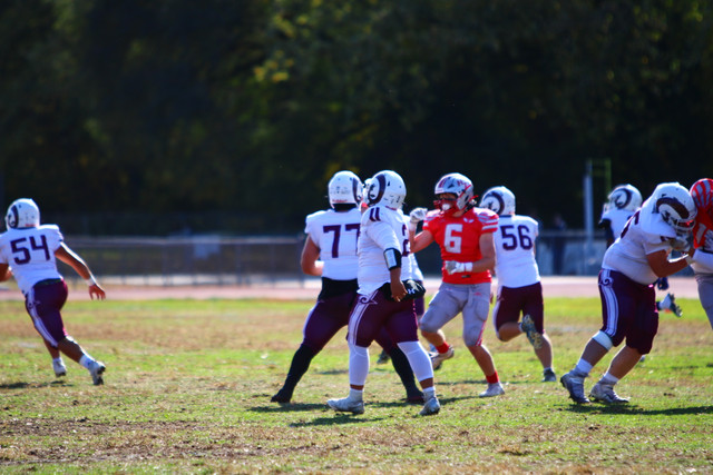 IMG-0516.jpg