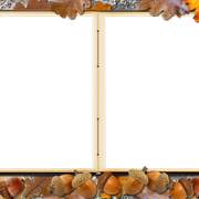 60