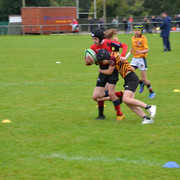 DSC-0156