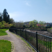 DSC-0159