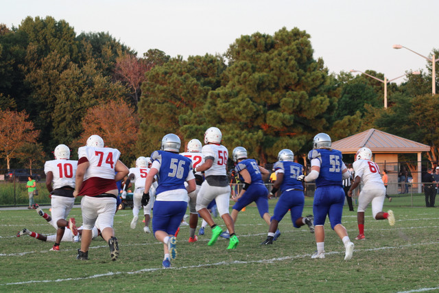 IMG-0082