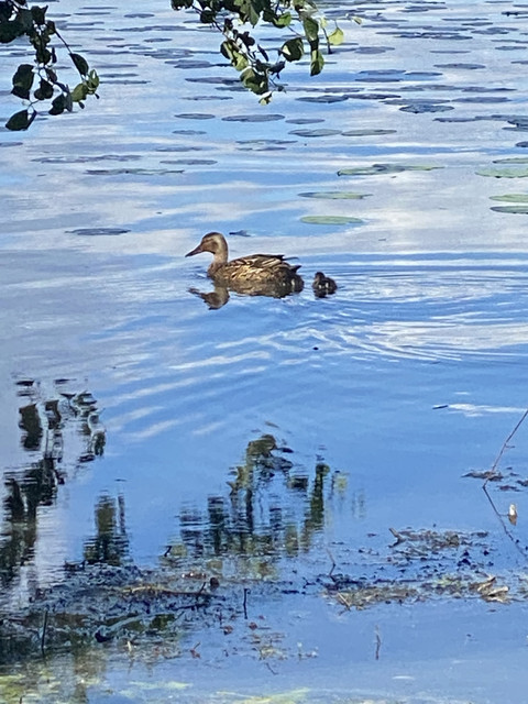 152670-FD-5-B6-F-4-EA7-9-E4-F-4-A4-EFA86