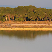 IMG-3216