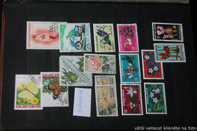 IMG-1969.jpg