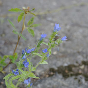 DSC5347-result