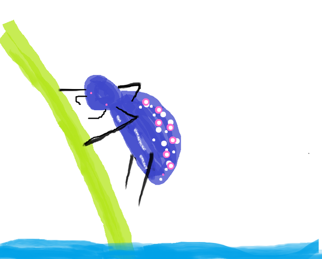Dive-in-as-beetle