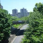 P1320191