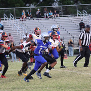 IMG-0614