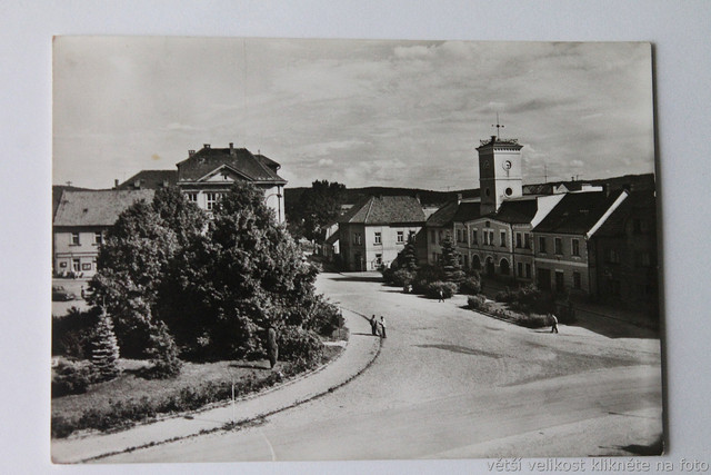 IMG-6451