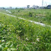 DSC-0053