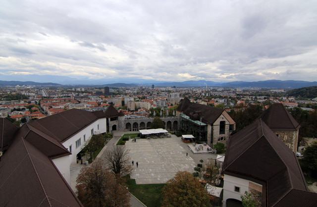 IMG-9982.jpg
