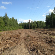 IMG-3960