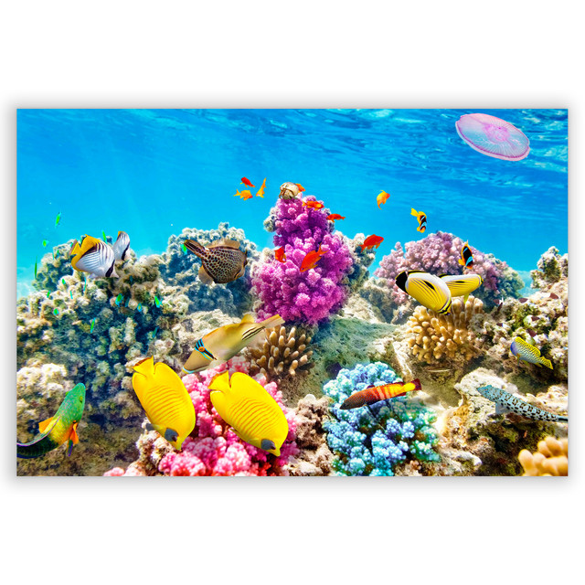 701521-Fundo-do-Mar