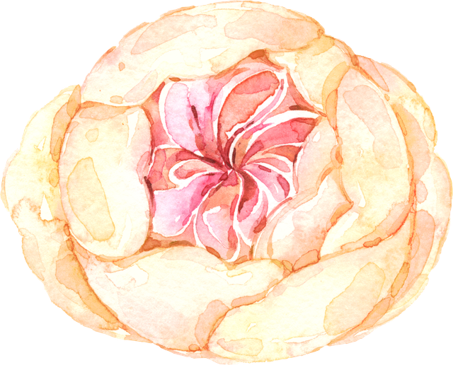 Blush-Elements-01