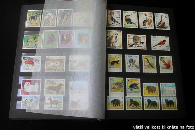 IMG-2230