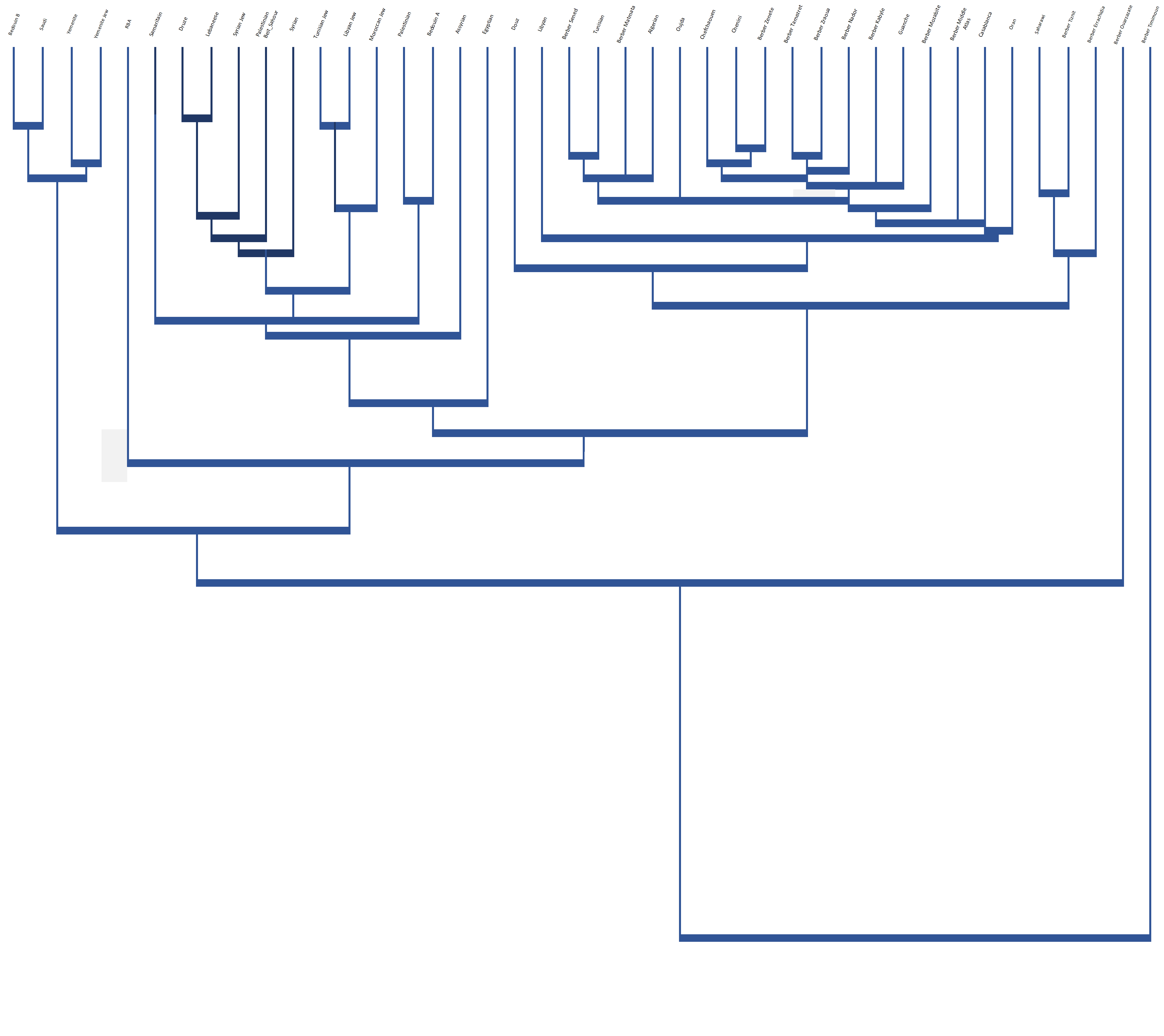 Arabic Genetics Arab World Classification | Genoplot
