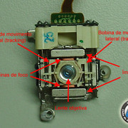 cd-24