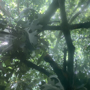 IMG-2665