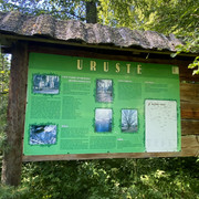 IMG-2300