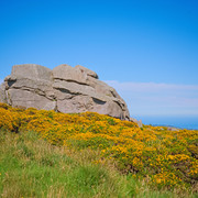 DSCF6996