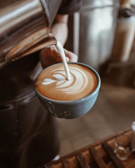 tumblr-ovsjbh-Lb-Zj1u4zsf9o1-540