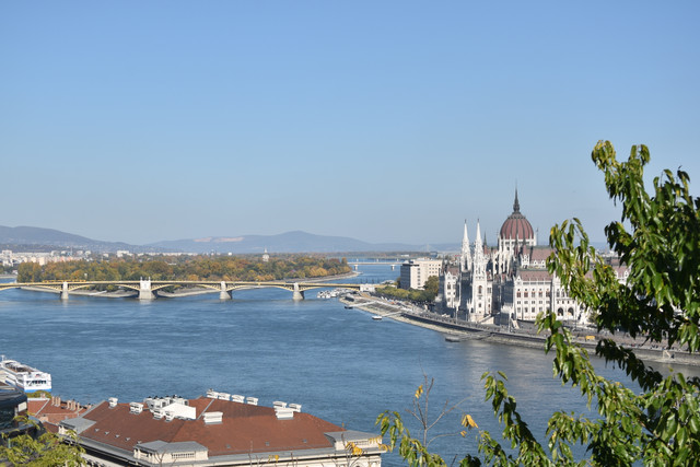 DSC-0505.jpg