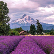 Oregon-USA