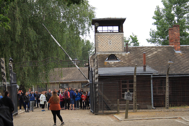 IMG-5795.jpg