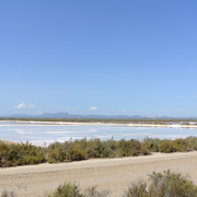DSC-5928