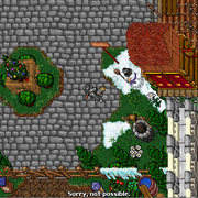 town3