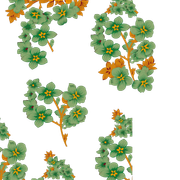 182