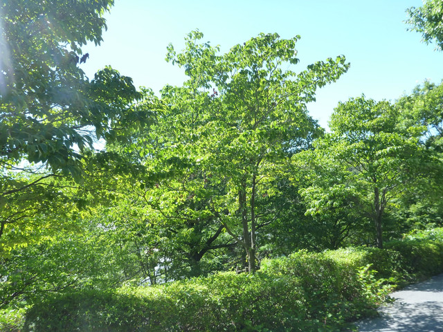 P1340071