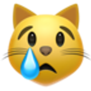 crying-cat-1f63f